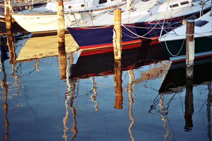SunthingSpecial_Harbor_Reflections 